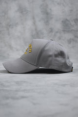 DSTRESS BASEBALL CAP - GREY